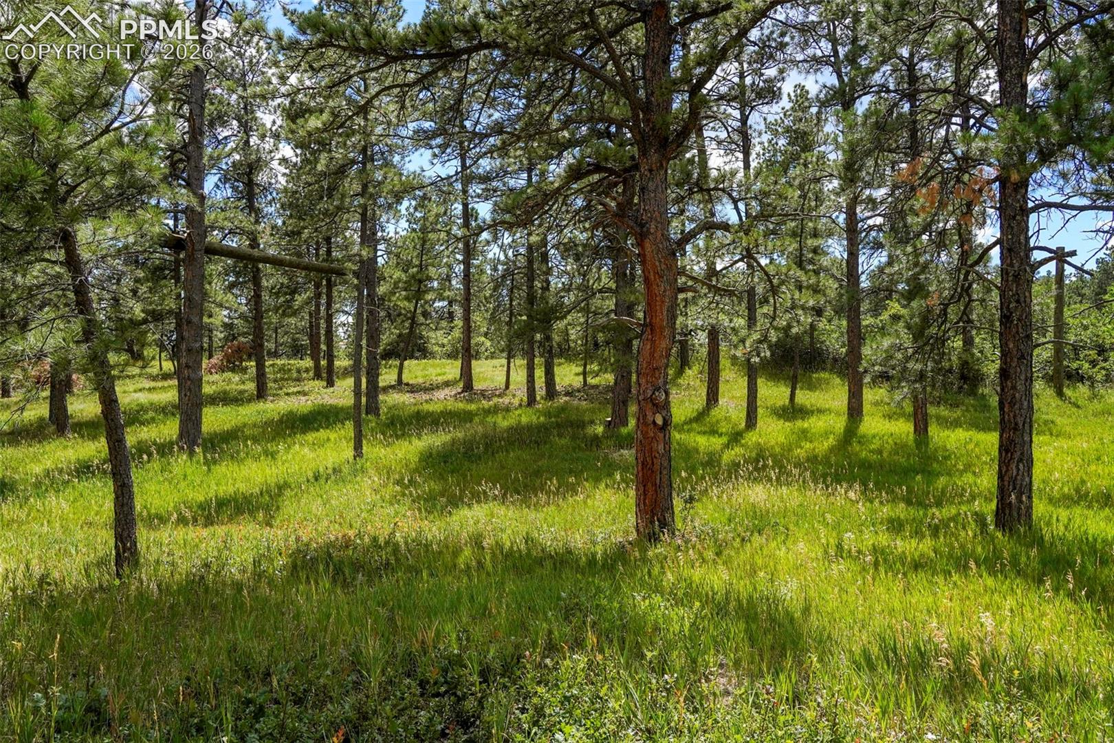 Photo 7 of 325 Pine Oaks Road, Colorado Springs
