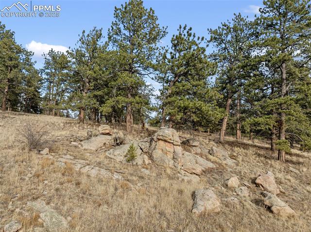 View of wooded area