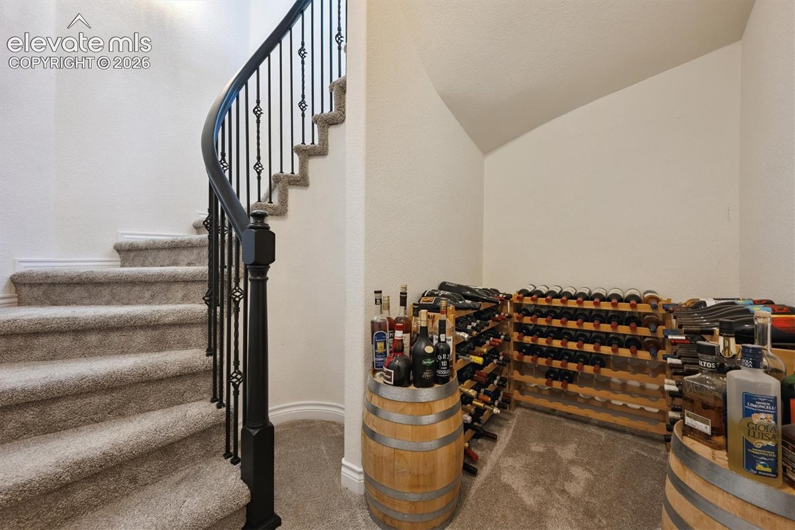 Curved staircase with decorative wrought iron spindles and a dark-finished handrail, complemented by plush carpeted treads