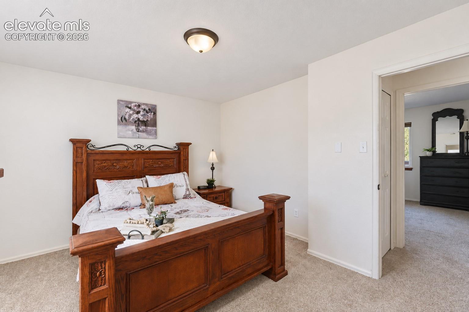 Neutral-toned wall paint, neutral carpeting, and a flush-mount ceiling light fixture