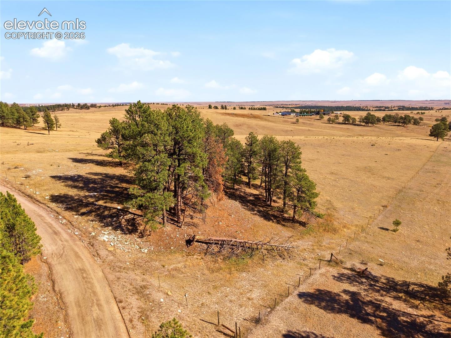 Expansive acreage featuring rolling terrain, clusters of mature evergreen trees, and perimeter fencing