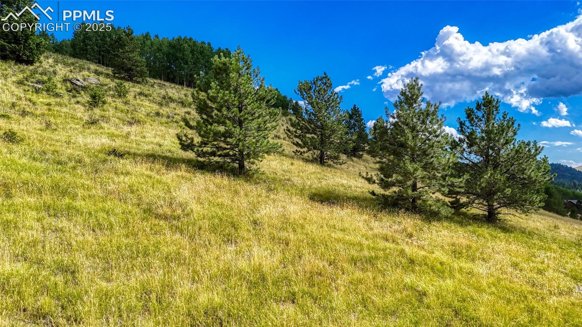 Photo 27 of 972 Anges Drive, Cripple Creek