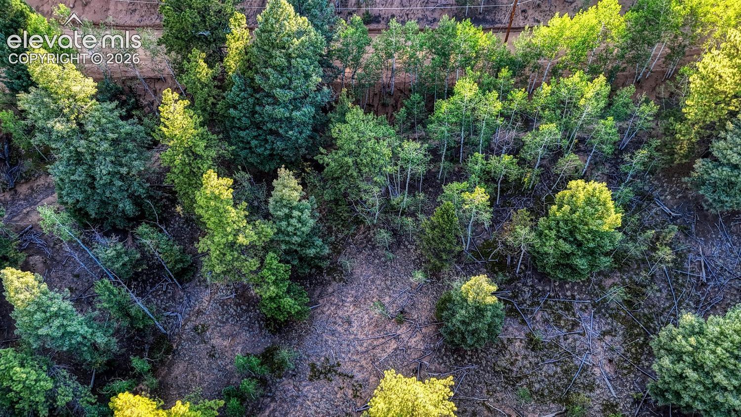 364 Blue Spruce Rd, Divide, CO 80814