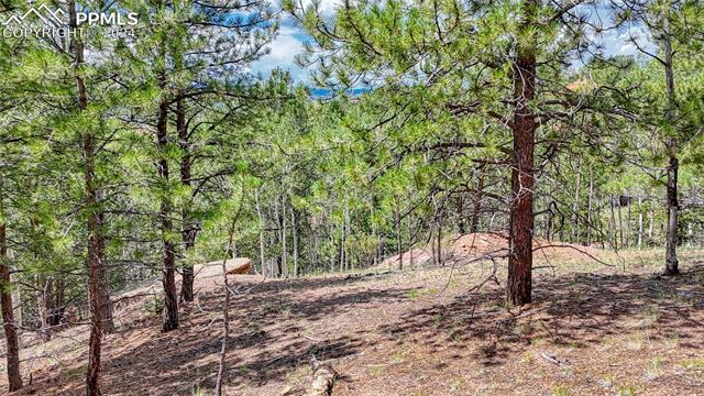 Photo 17 of 24 Wild Horse Circle, Cripple Creek