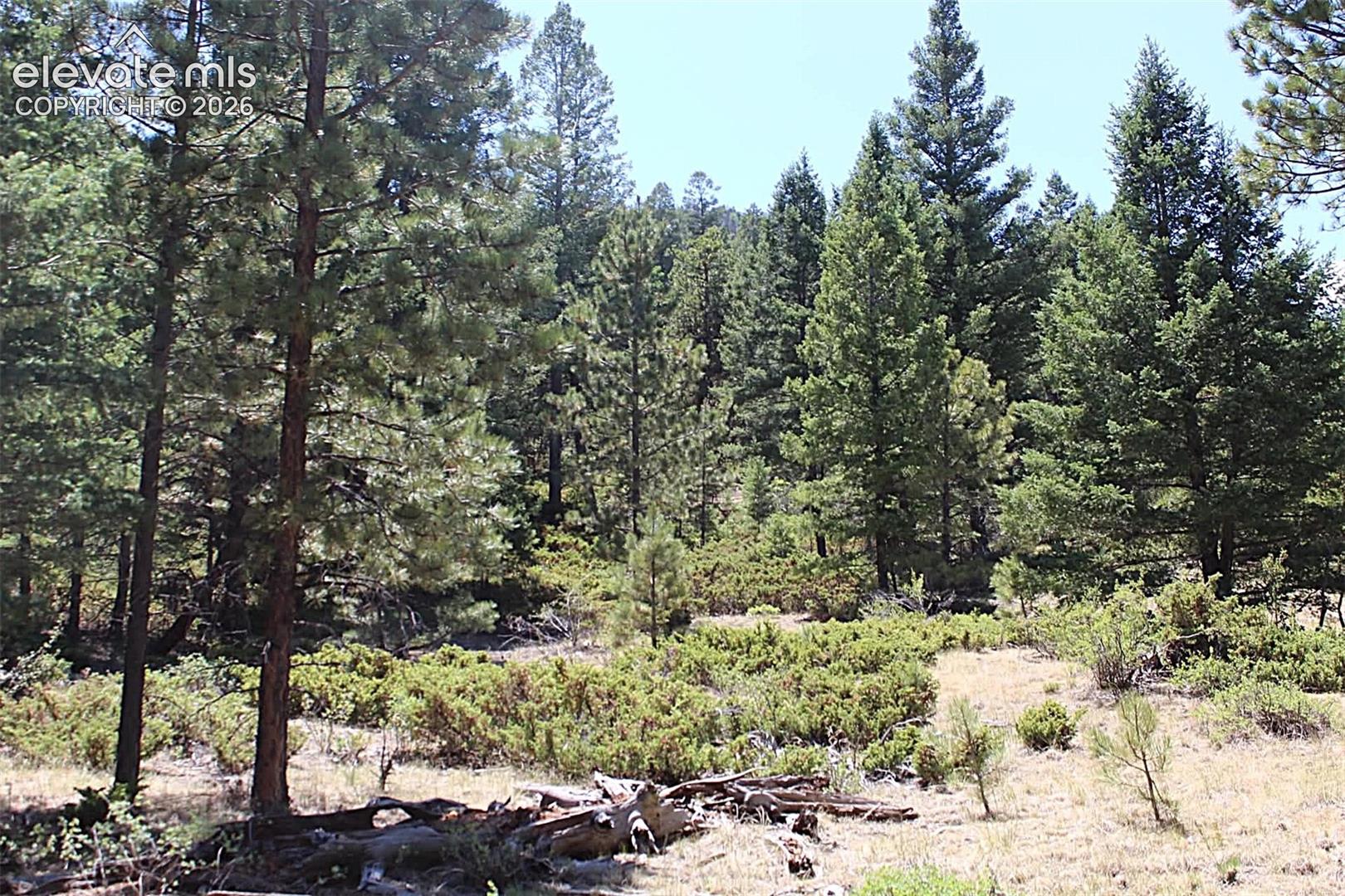 Photo 23 of TBD Tallahassee Lane, Canon City