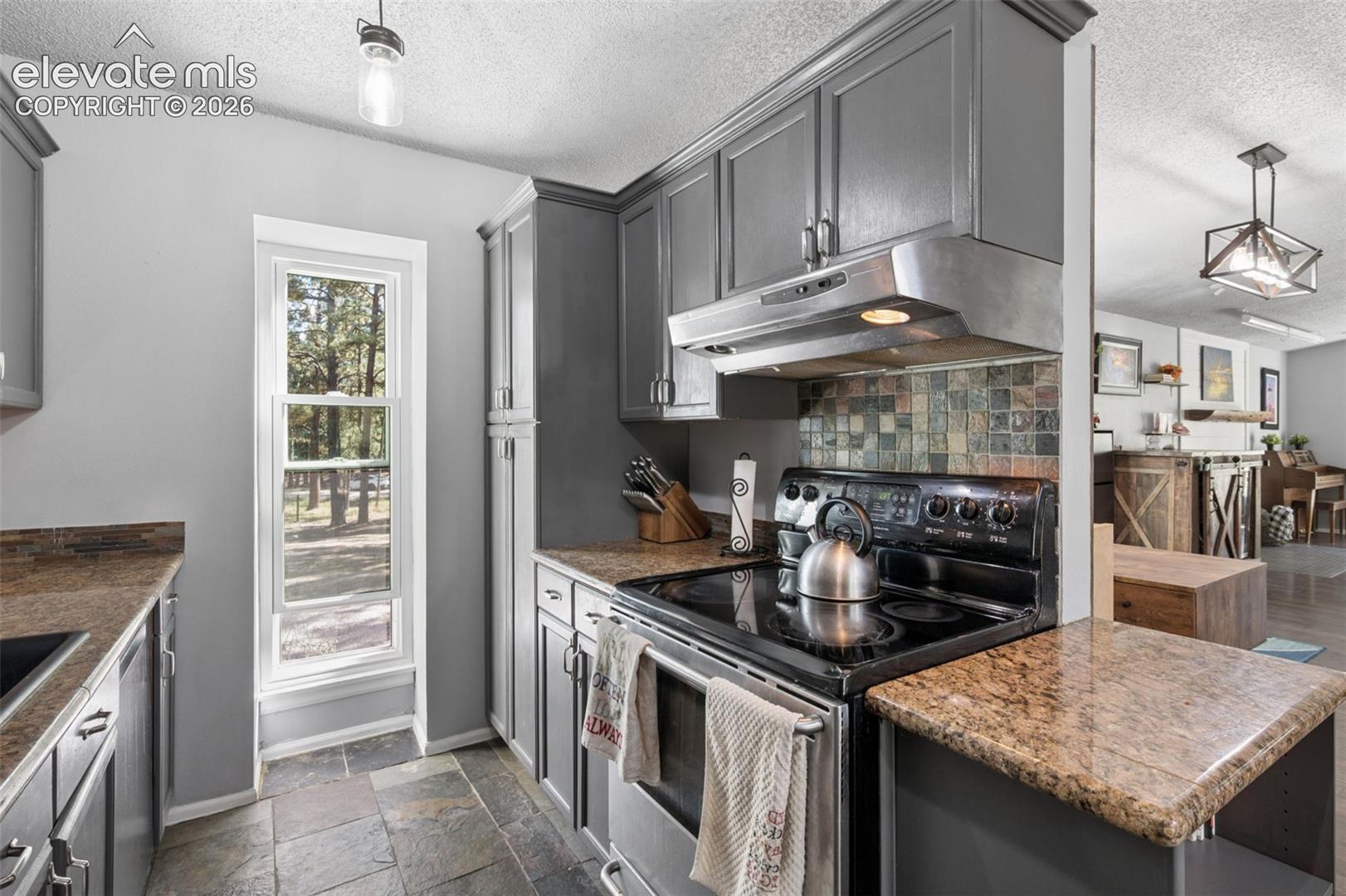 Photo 16 of 14015 Timber Grove Lane, Elbert