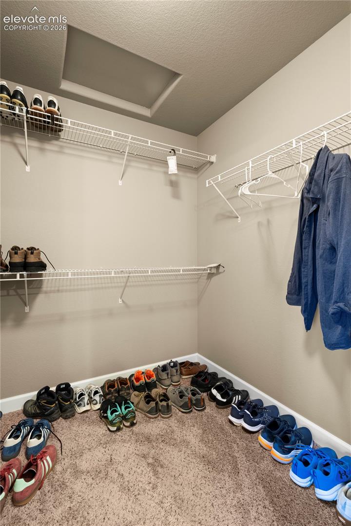 Photo 35 of 9071 Pennycress Drive, Colorado Springs