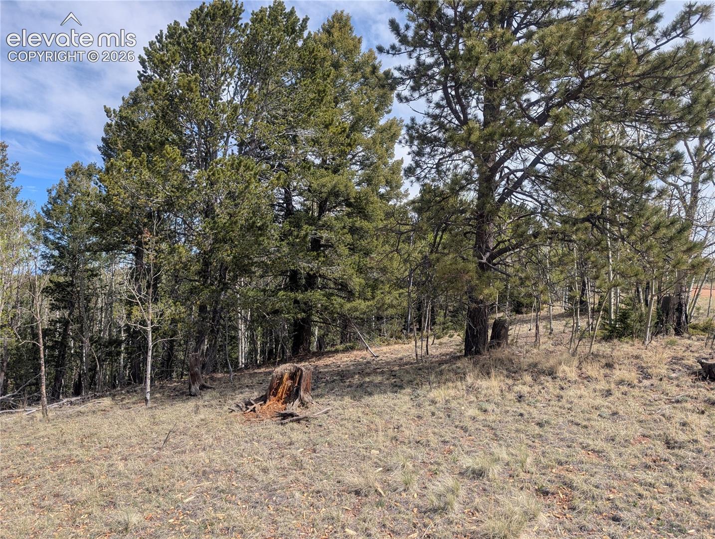 Photo 12 of 905 May Queen Drive, Cripple Creek