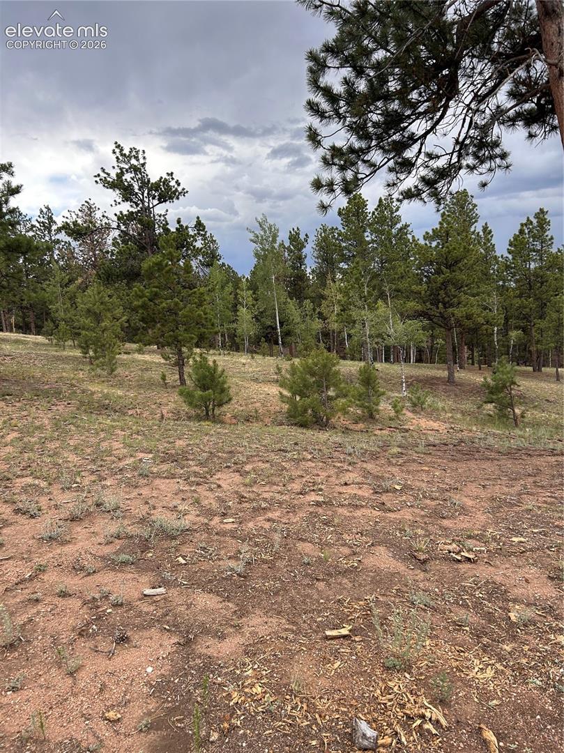 305 - 281 Midnight Ln, Florissant, CO 80816