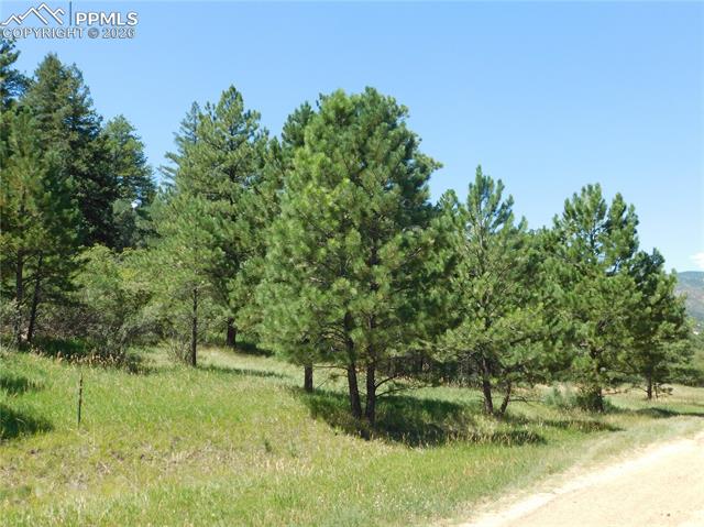 Photo 39 of 4668 Comanche Drive, Larkspur