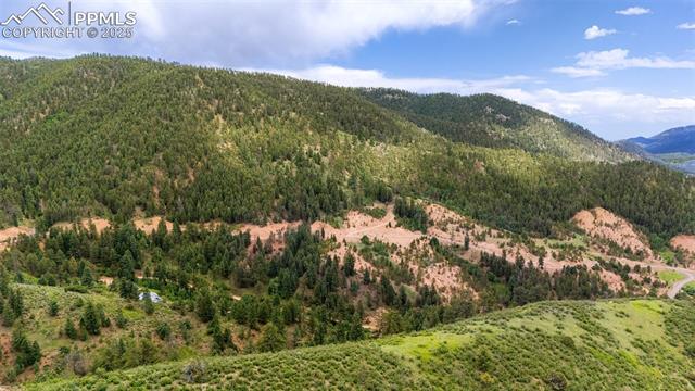 Mountain view featuring a forest