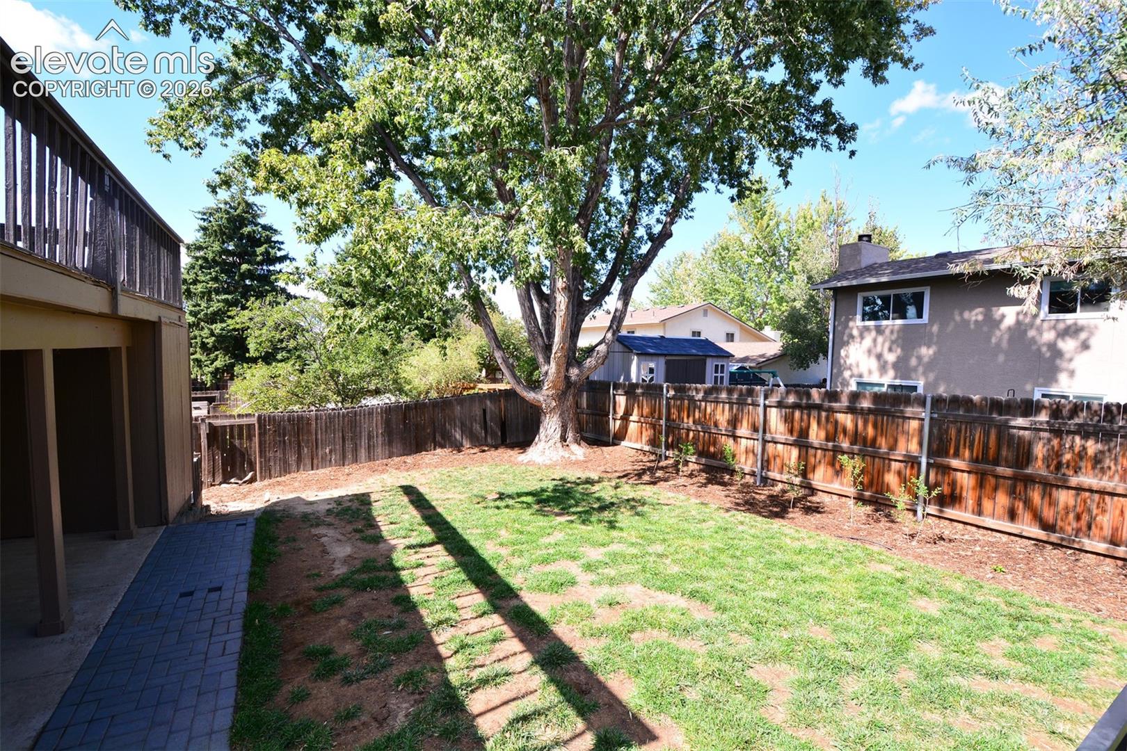 backyard