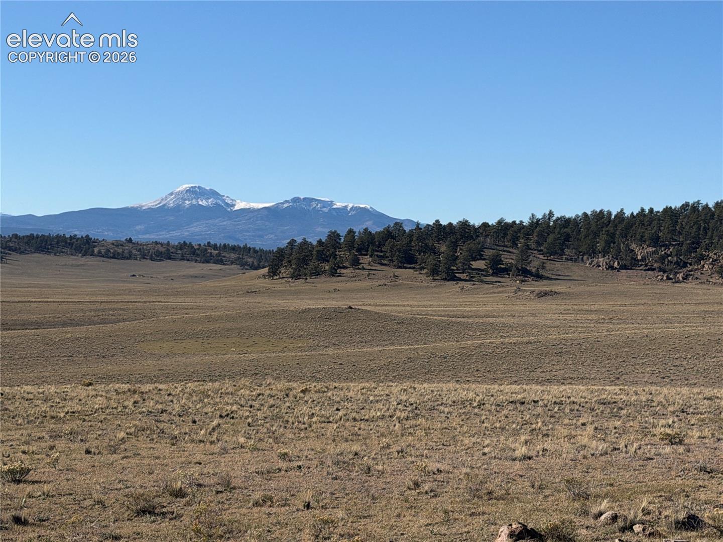 Expansive open acreage featuring native grasses, mature evergreen clusters, and prominent snow-capped mountain scenery