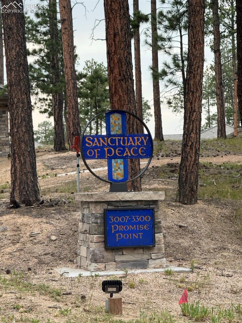 Photo 18 of 3145 Promise Point, Colorado Springs