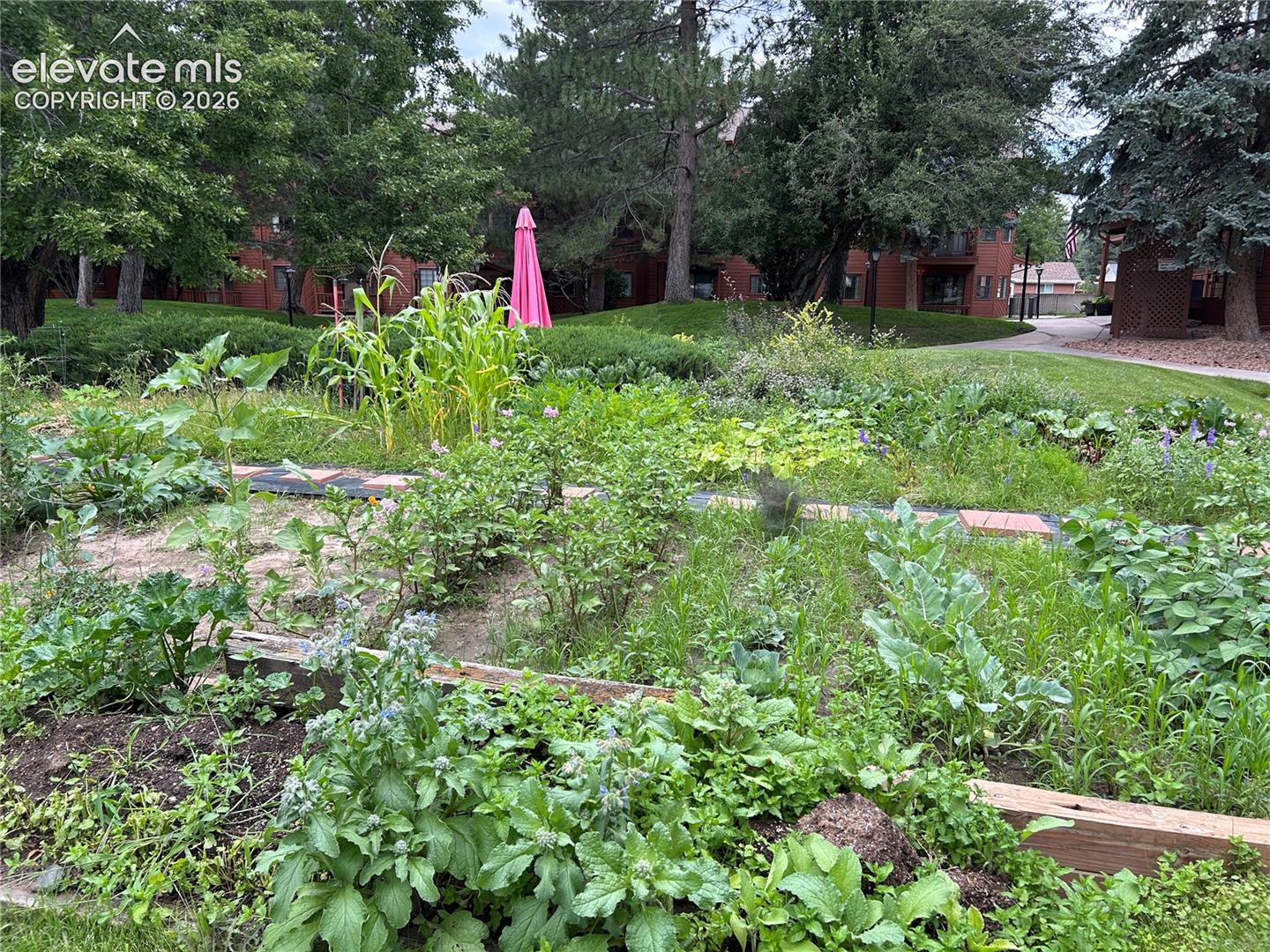 Beautiful community garden
