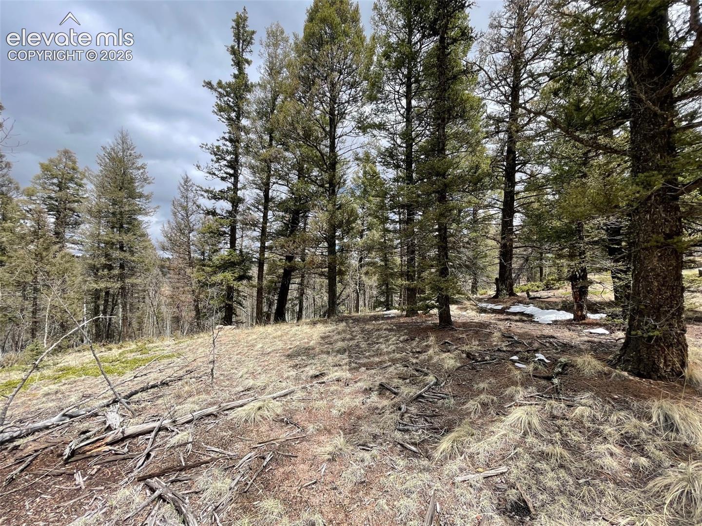 228 Alpine Dr, Florissant, CO 80816