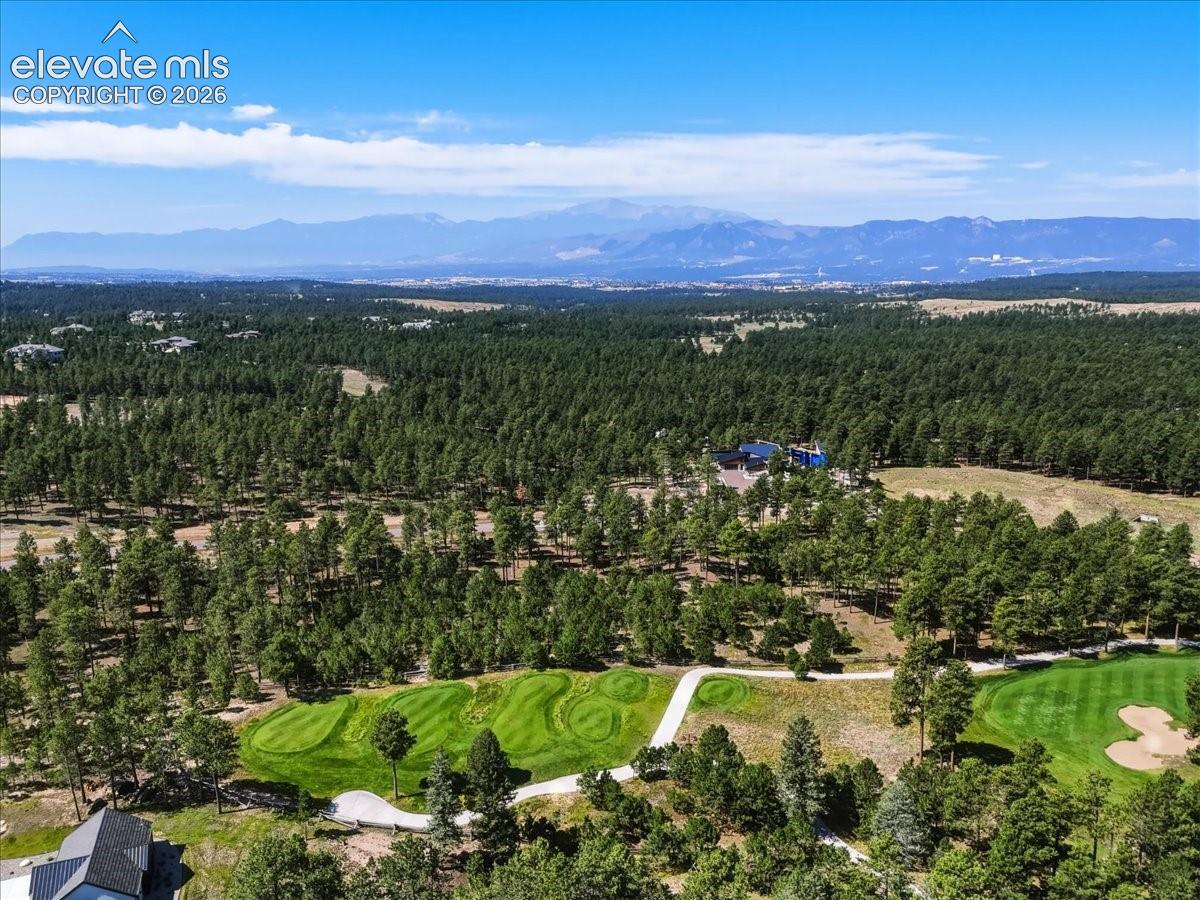 Photo 11 of 14931 Quartz Creek Drive, Colorado Springs