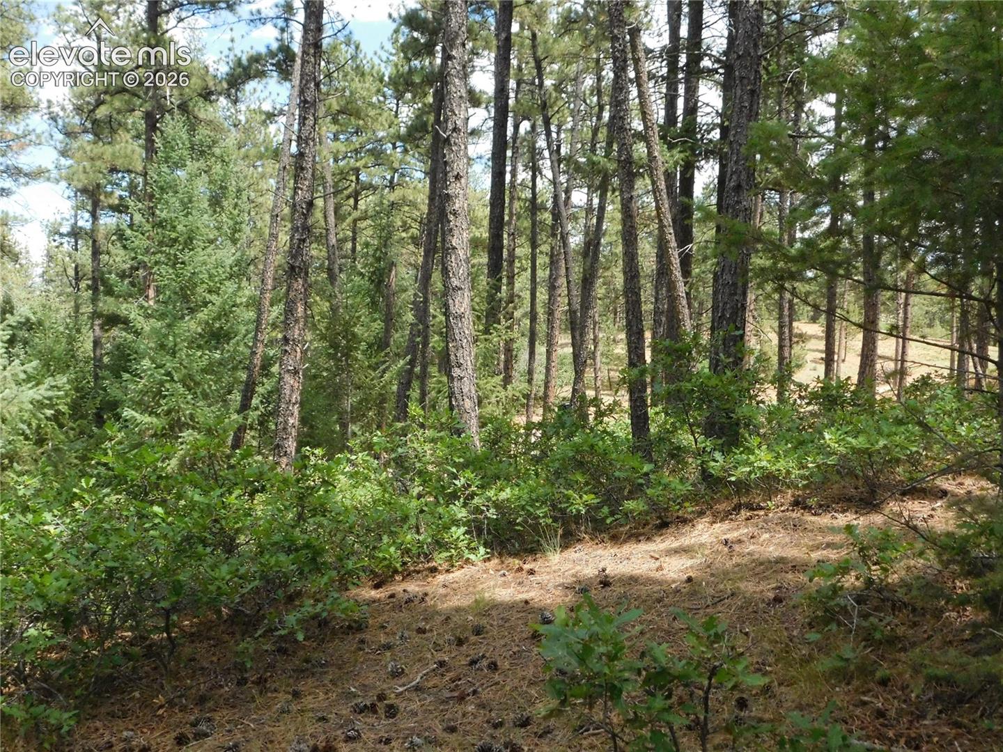 Photo 22 of 8139 Bannock Drive, Larkspur