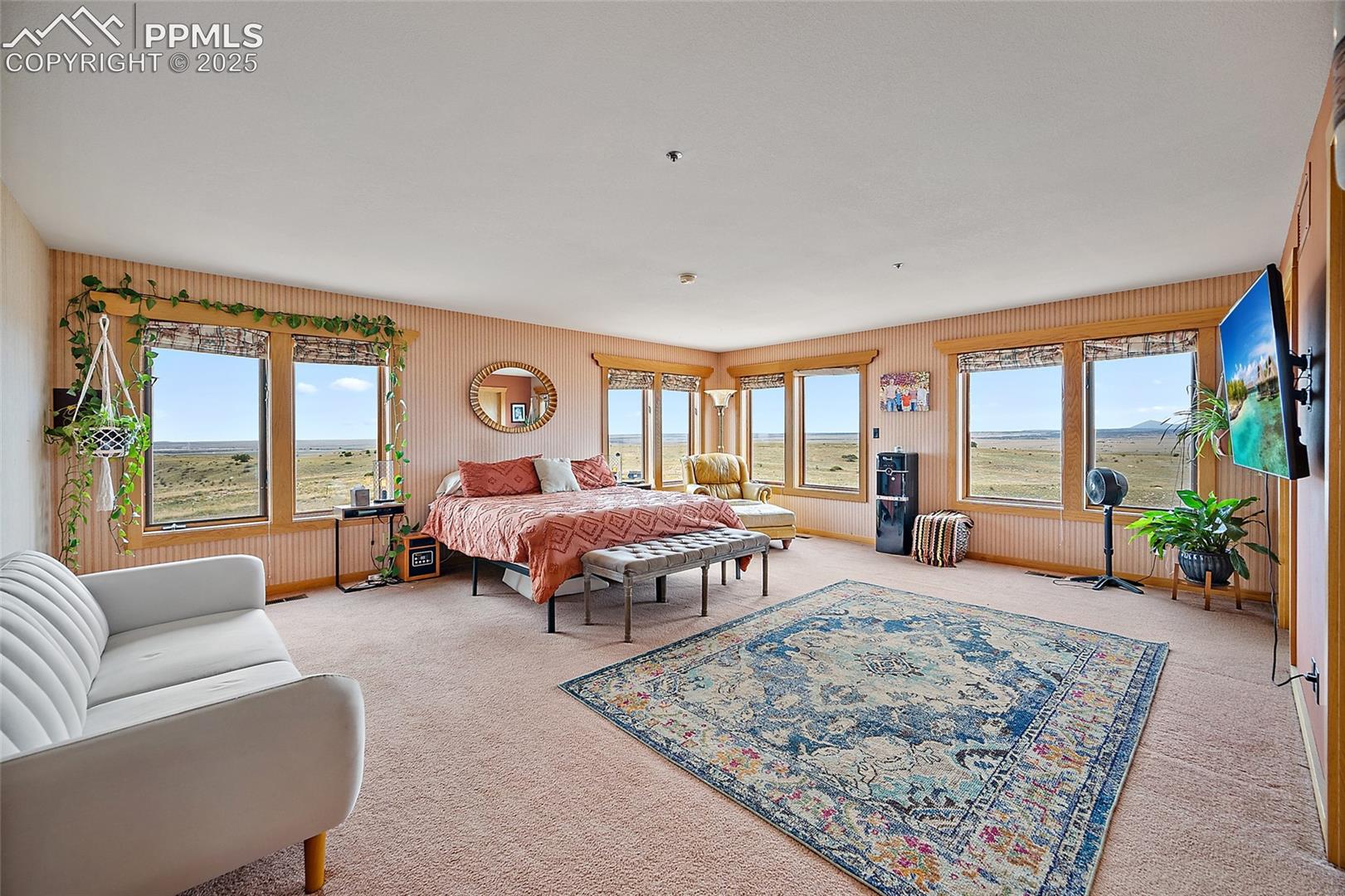 Bedroom with multiple windows and carpet flooring