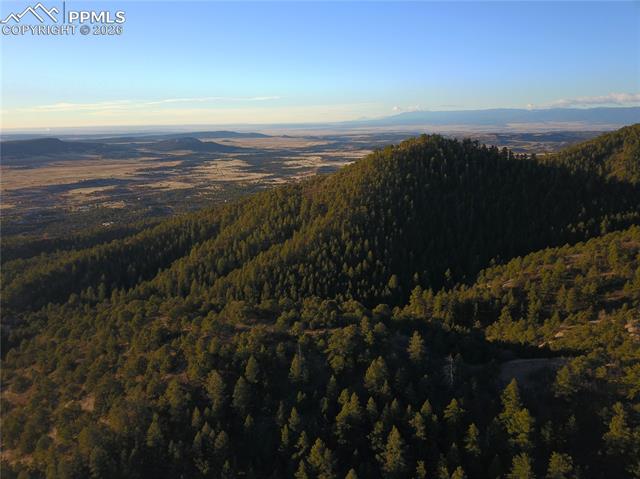 Photo 10 of 3735 Big Spruce Heights, Colorado Springs