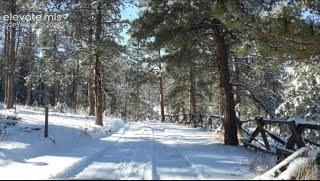 forest road is maintained by county 
