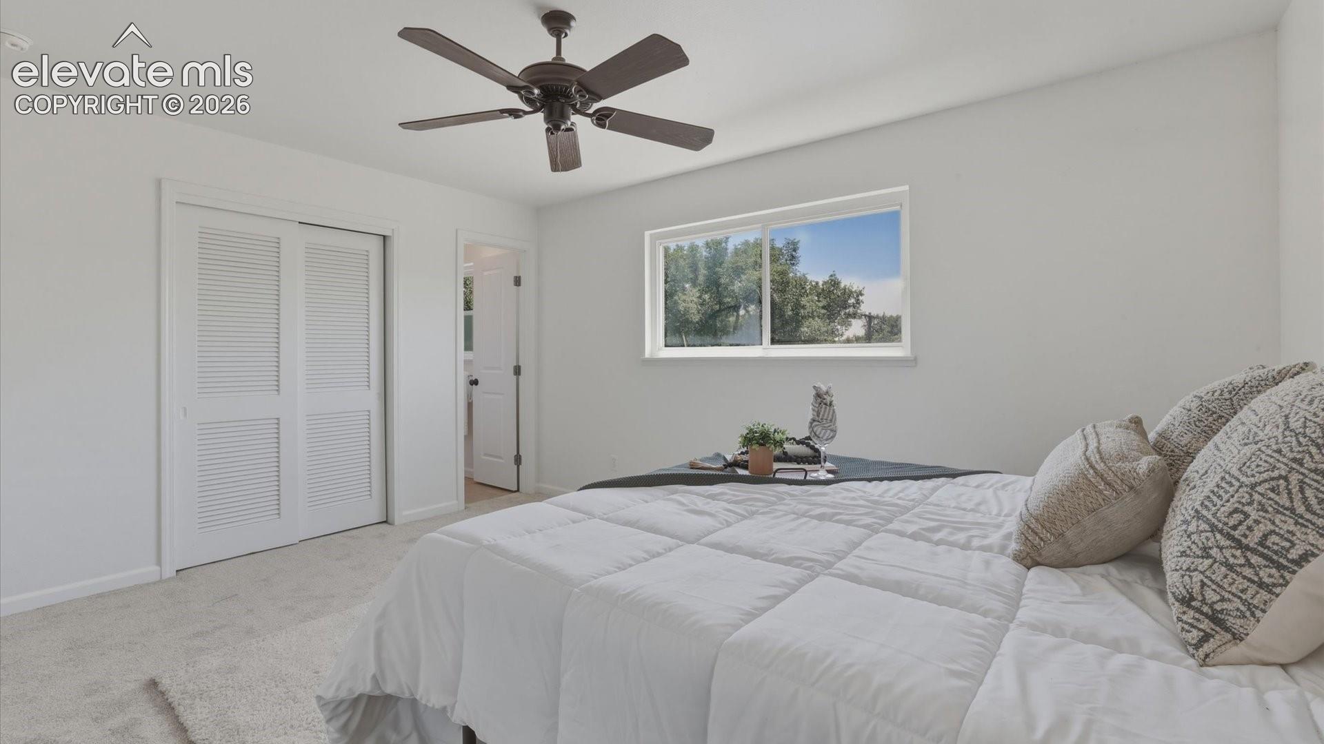 Primary Bedroom with private access to the Full Bathroom.