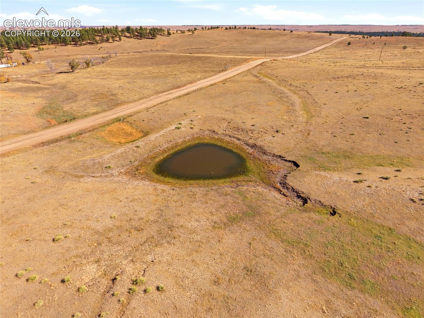 Expansive acreage featuring a natural pond, rolling topography, and mature evergreen trees