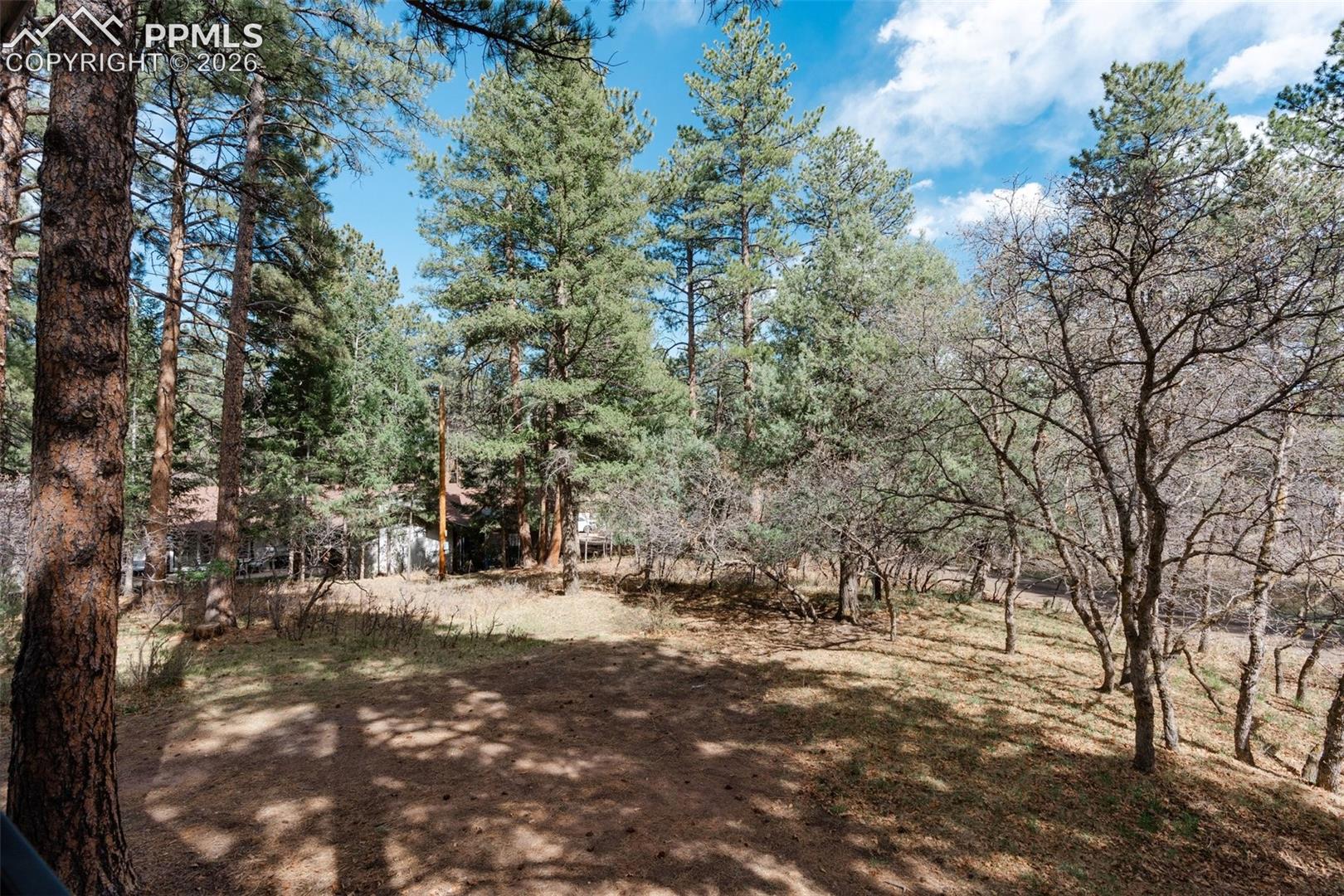 Photo 41 of 7045 Perry Park Boulevard, Larkspur