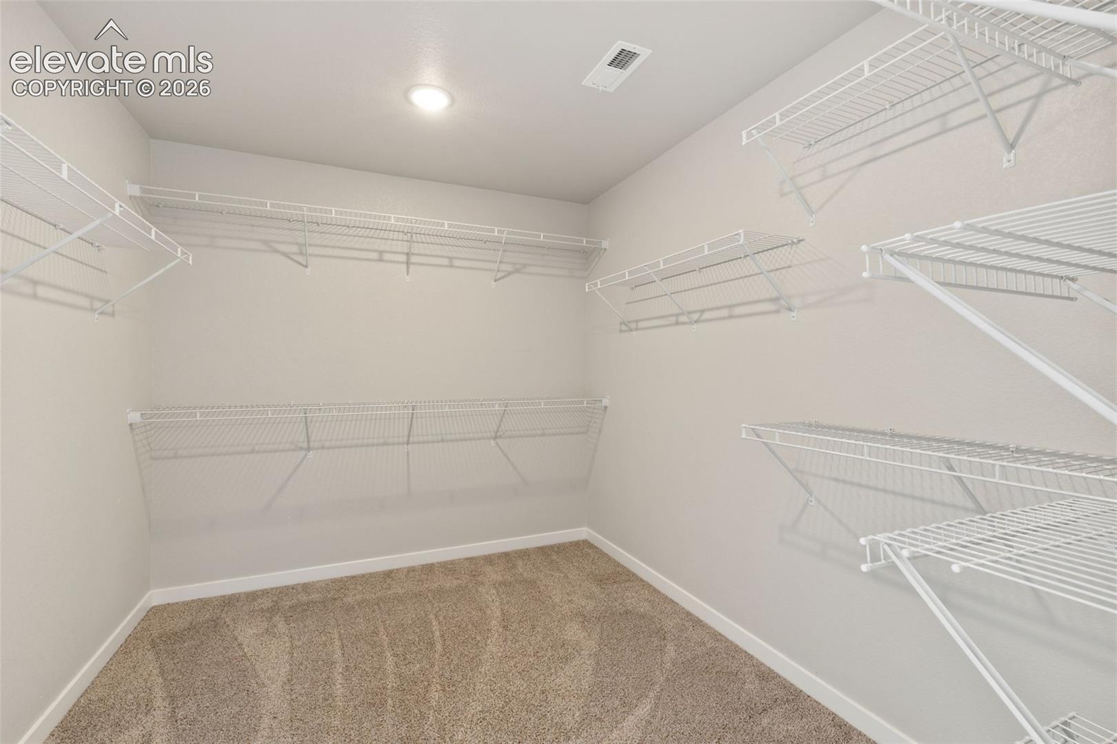 Carpeted walk-in closet featuring extensive wire shelving, multiple storage levels, a ceiling-mounted light fixture, and white baseboards
