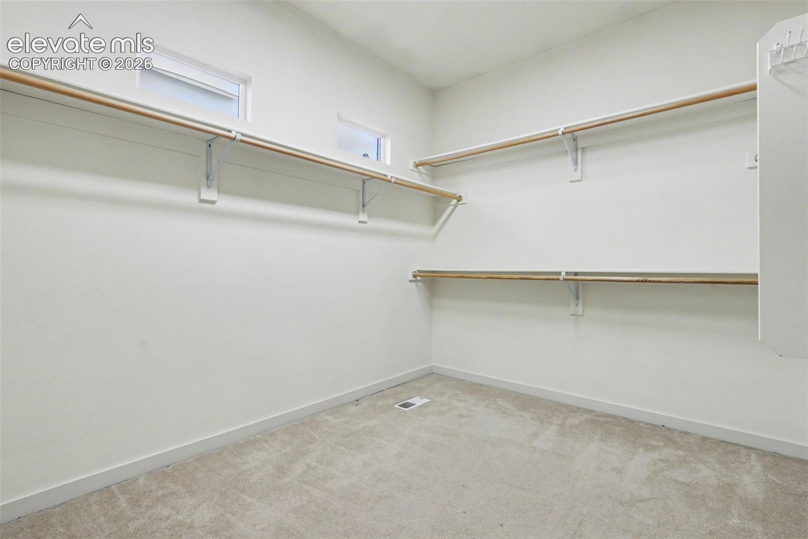 Walk-in closet featuring carpet flooring, crisp white walls, and multiple shelving and hanging rods