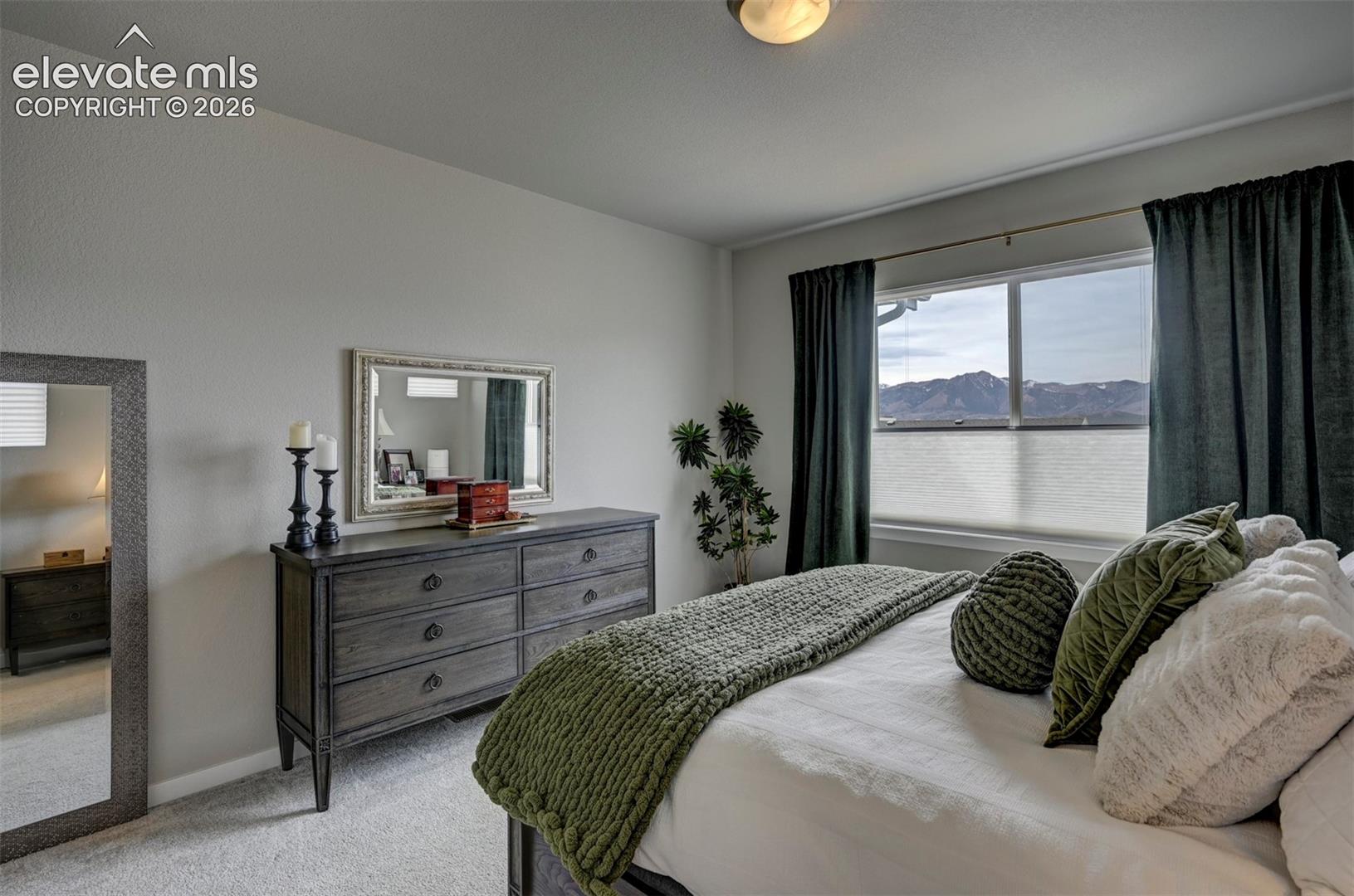 Broadloom carpeting and a spacious window offering scenery