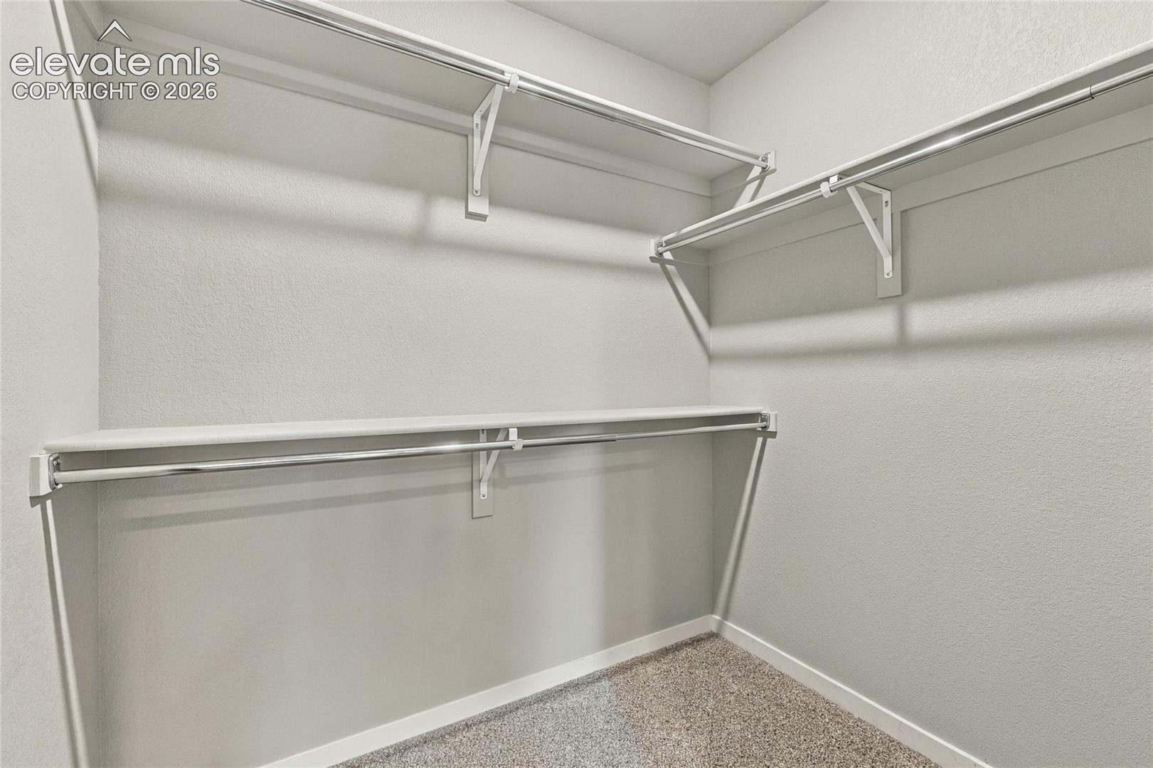Walk-in closet with white shelving, chrome hanging rods, and light-colored carpeting