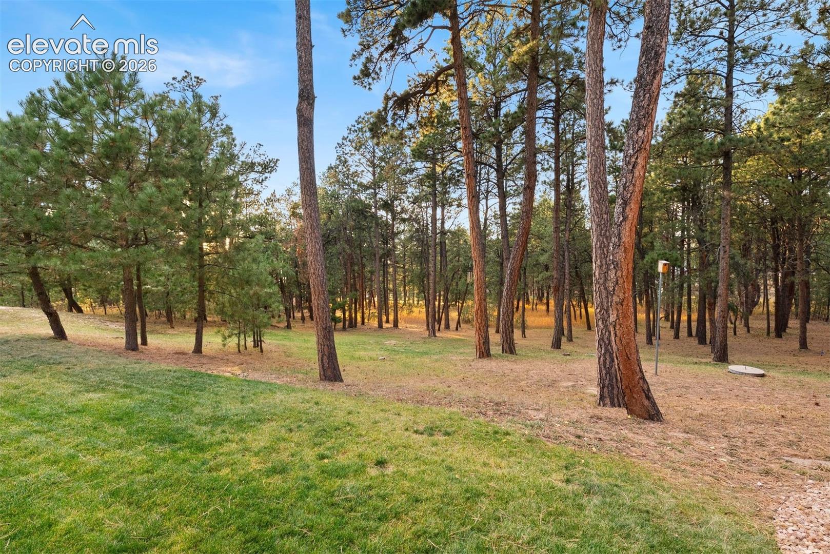 Photo 49 of 17507 Colonial Park Drive, Monument