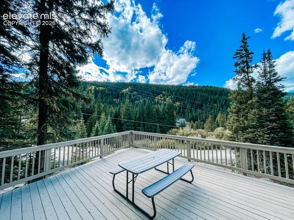 193 Range Rd #1, Breckenridge, CO 80424