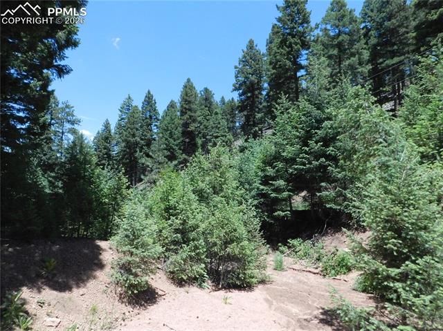 Photo 14 of 13175 Spruce Creek Circle, Larkspur