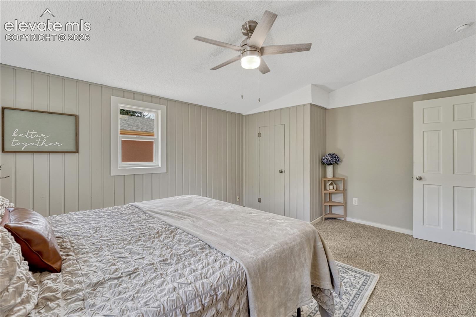 Spacious primary bedroom featuring neutral shiplap walls, carpeted flooring, and abundant natural light from multiple windows