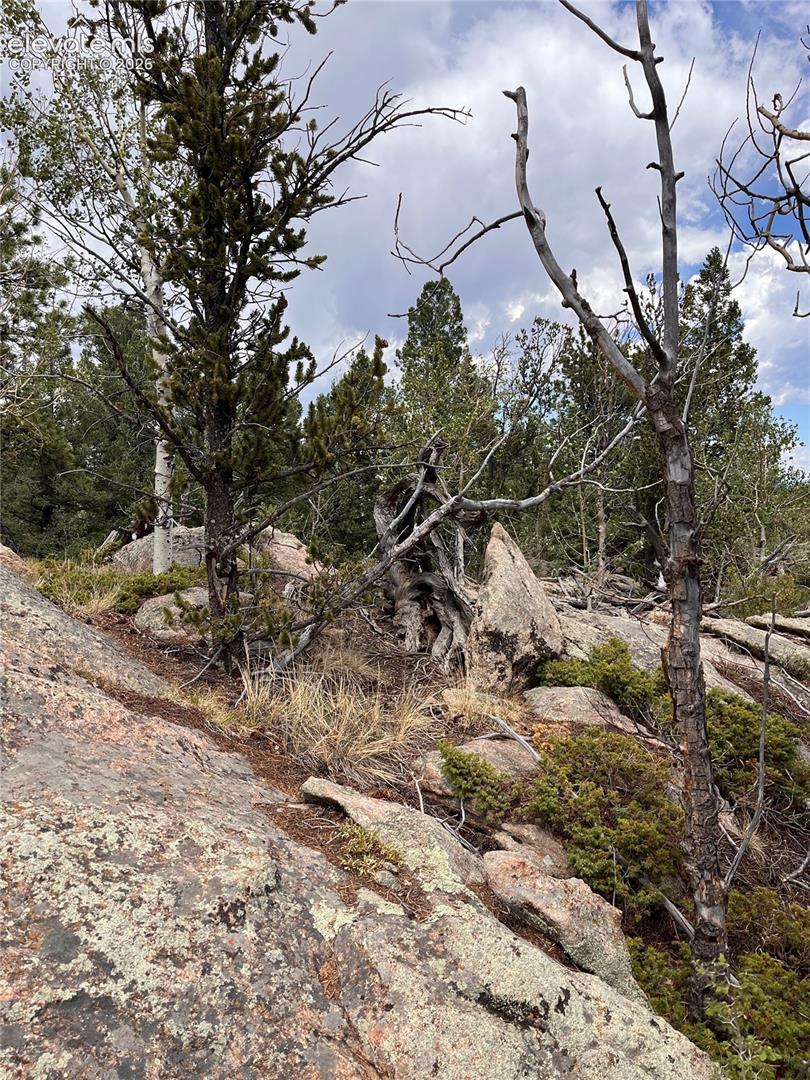 atop boulder cliff