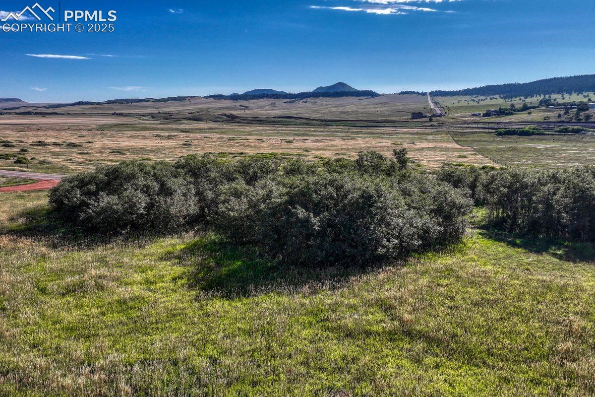 Photo 7 of 15989 S Perry Park Road, Larkspur