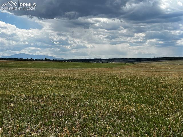 Photo 8 of 16990 Early Light Drive, Colorado Springs