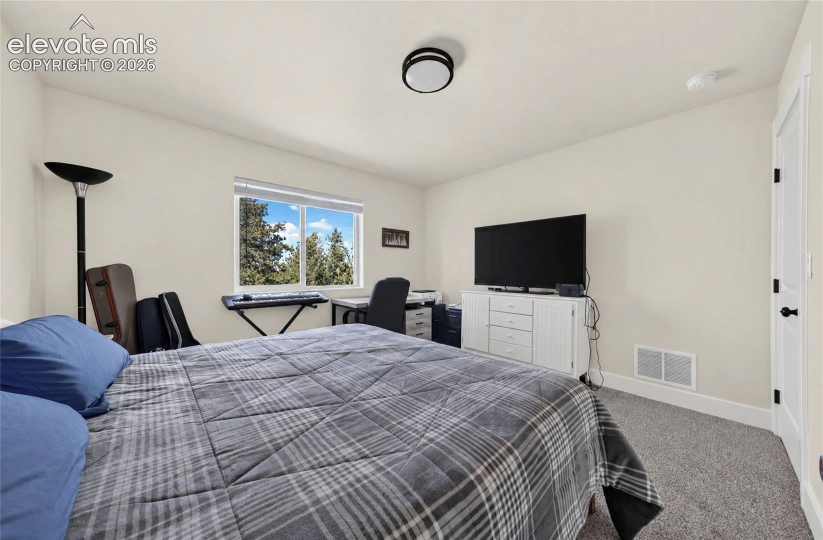 Neutral-toned bedroom featuring wall-to-wall carpeting, a dual-pane sliding window, and a modern flush-mount ceiling light fixture