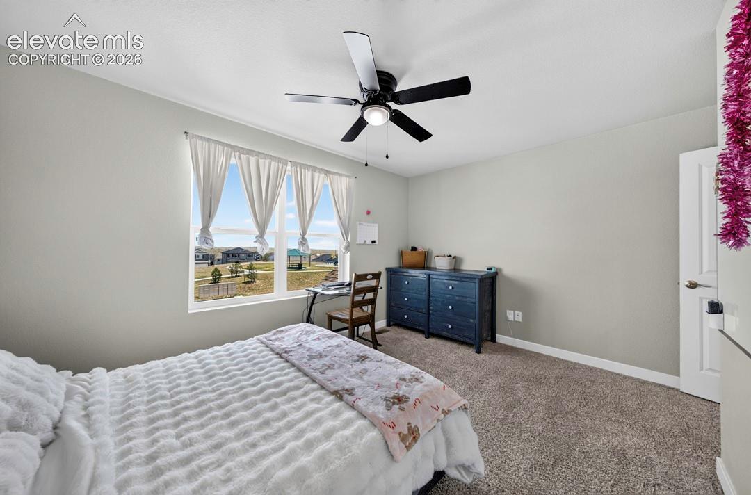 Photo 34 of 3932 Ryedale Way, Colorado Springs
