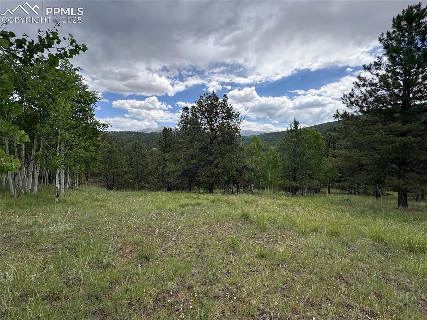 Photo 6 of 532 May Queen Drive, Cripple Creek