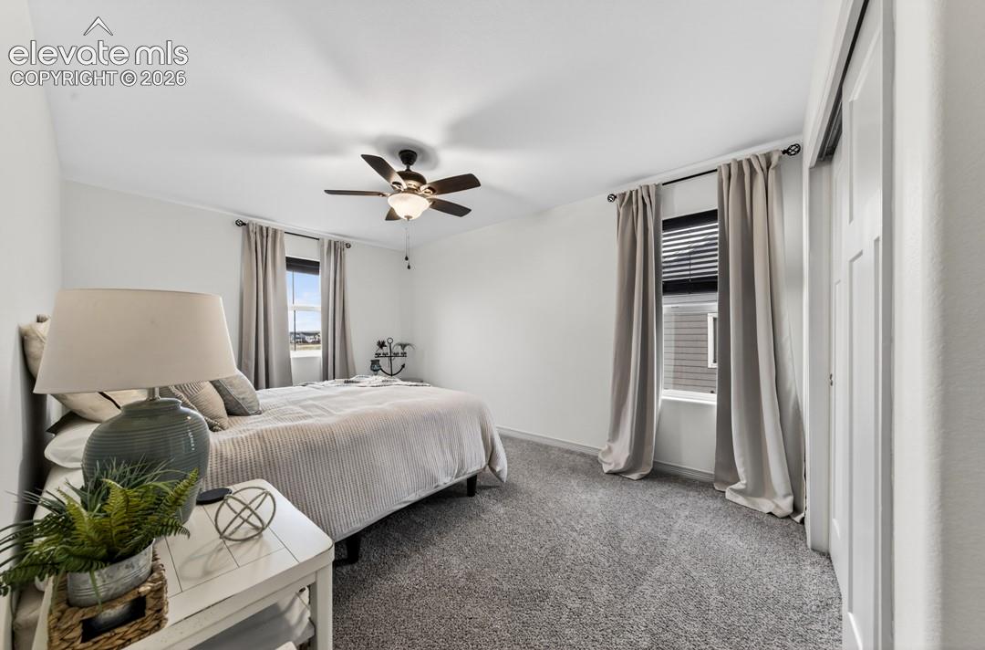 New carpet, ceiling fan, closet