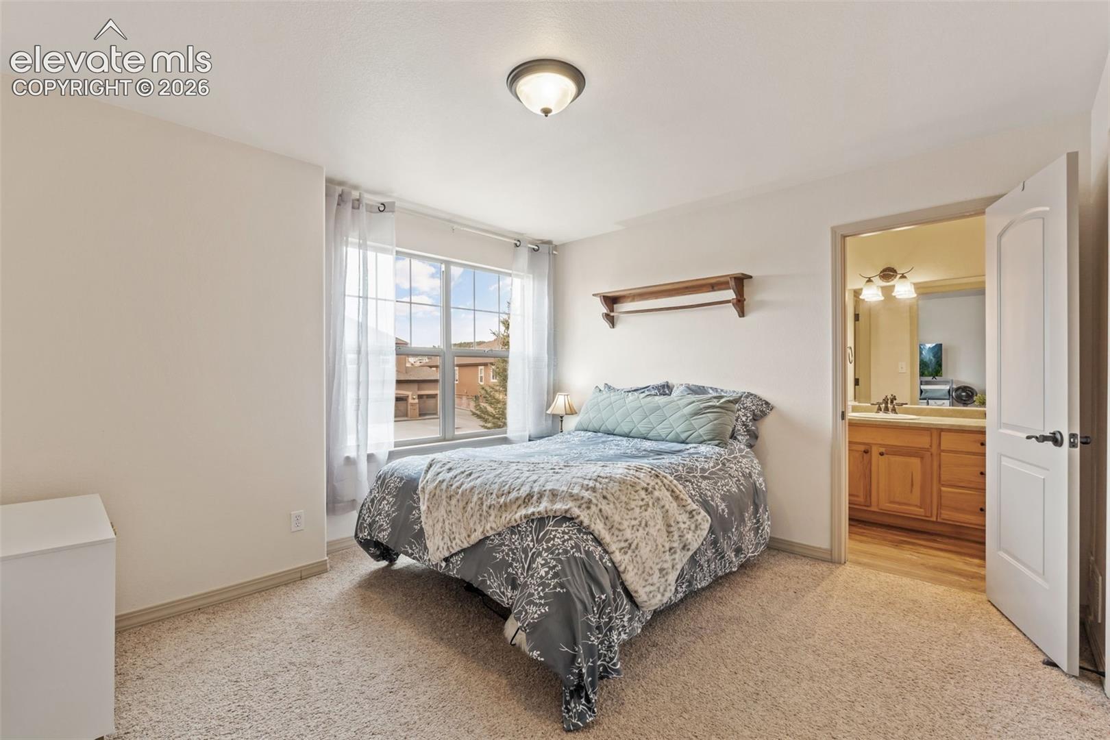 Carpeted room with a large window, a built-in wall shelf, and a ceiling-mounted light fixture