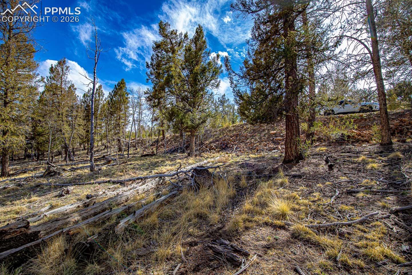 Photo 35 of 5302 Middle Fork Vista, Fairplay