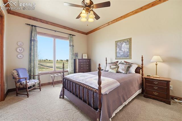 Photo 29 of 16329 Open Sky Way, Colorado Springs