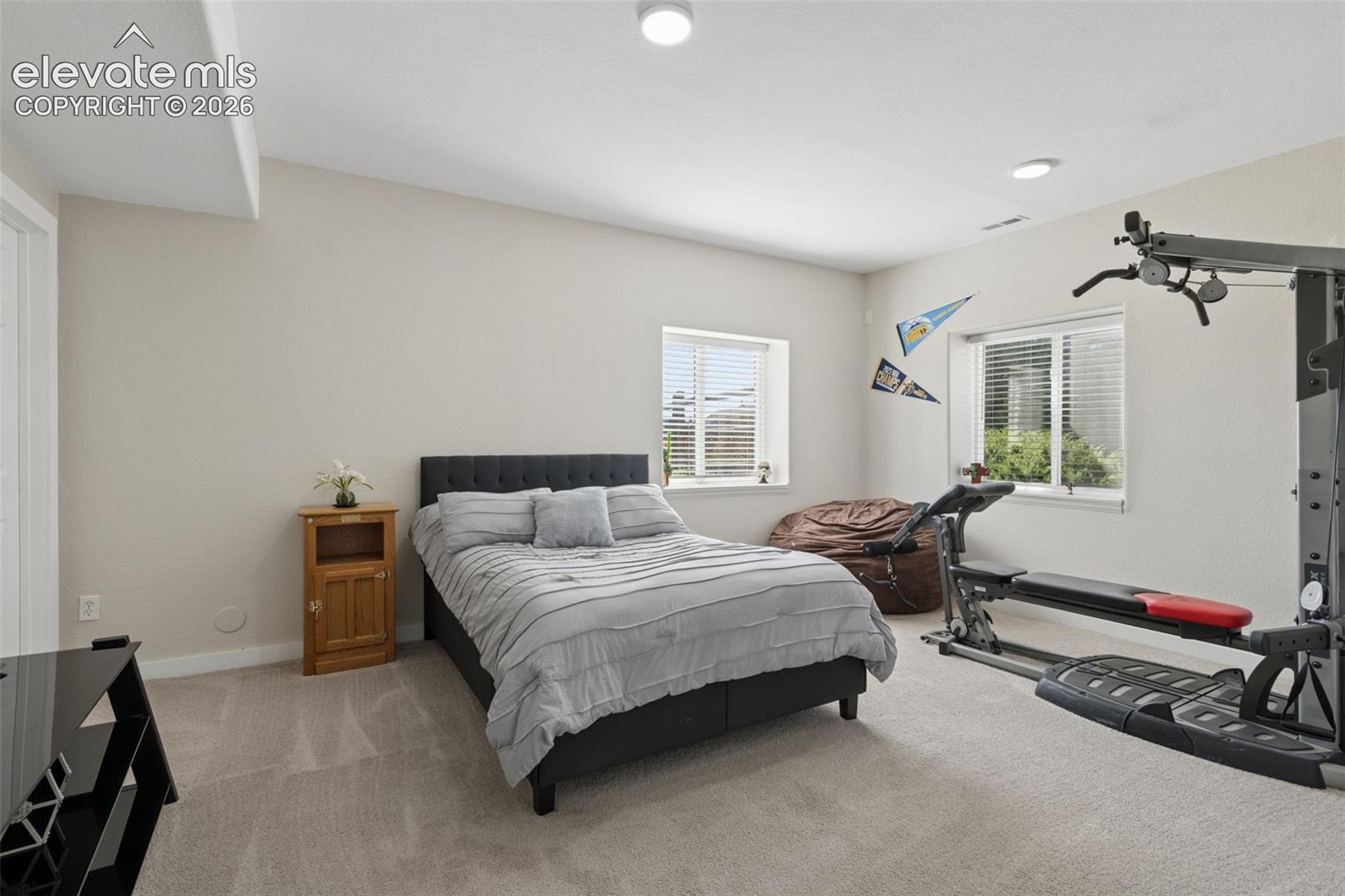 Lots of natural light, two walk in closets, light-toned walls, and soft carpet flooring