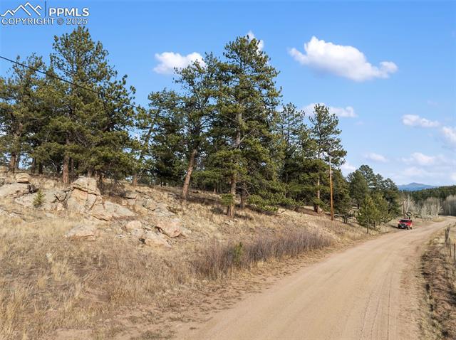 View of dirt / gravel road with a view of rural / pastoral area