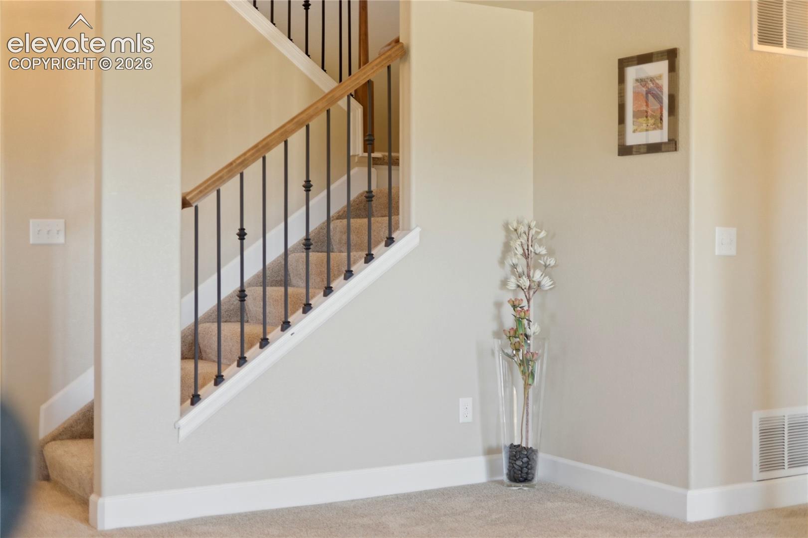 Photo 33 of 13036 Cupcake Heights, Colorado Springs