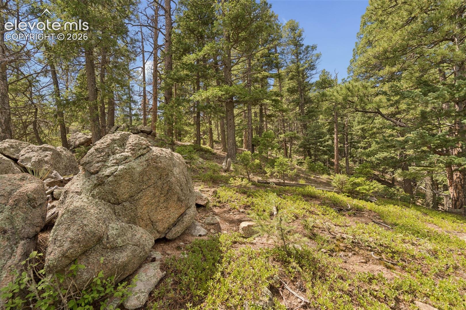 Photo 33 of 5110 Little Turkey Creek Road, Colorado Springs